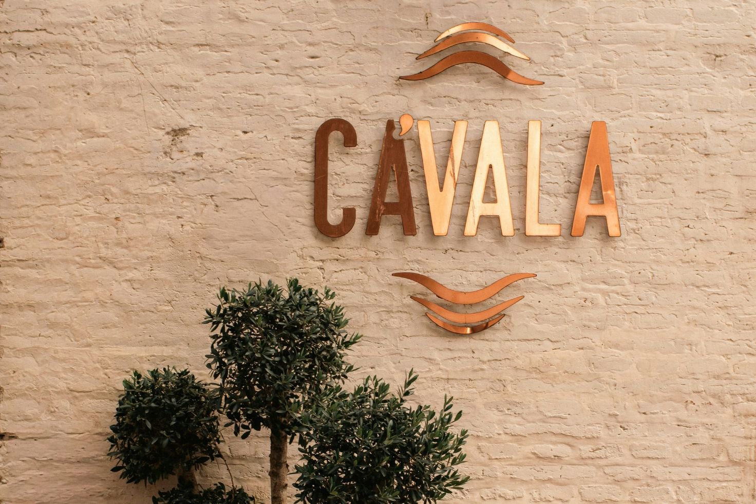 Tipografía expresiva cómo las letras construyen una identidad
